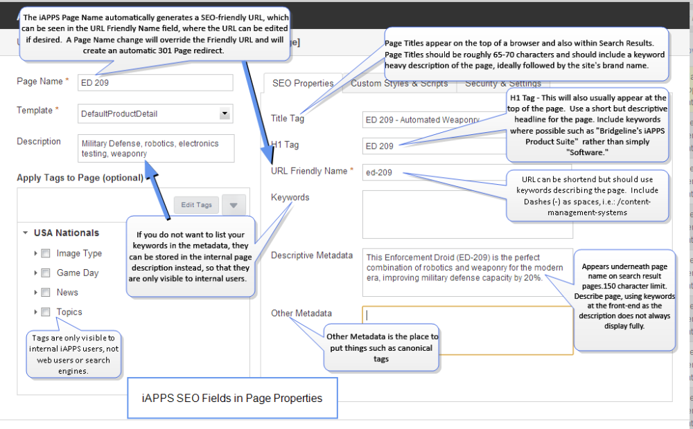 Entering SEO Properties in iAPPS