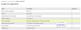 Analyzer Audience Segments