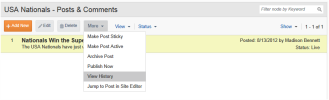 Options for Blog Posts