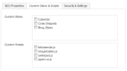 Custom Styles and Scripts Tab - Page Properties