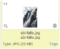 Image Library Listing and Options