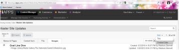 Master Site Updates screen